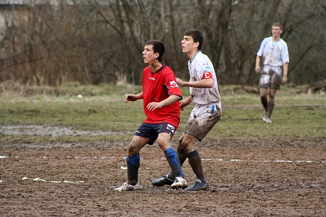 也成为车迷 也成为车迷