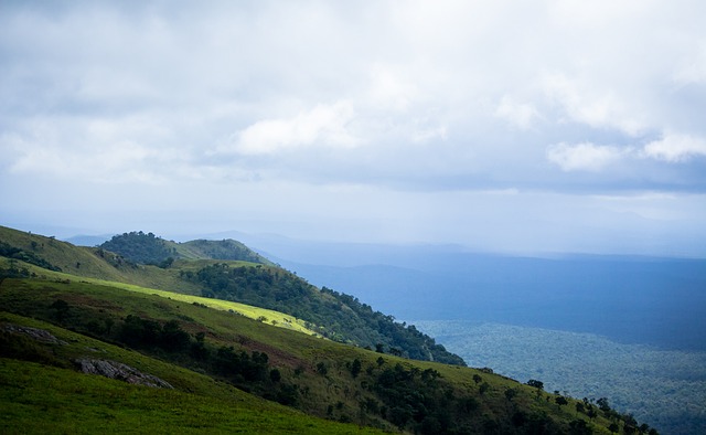 静和精准令 静和精准令