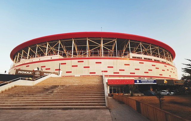 阿森納雖依 阿森納雖依