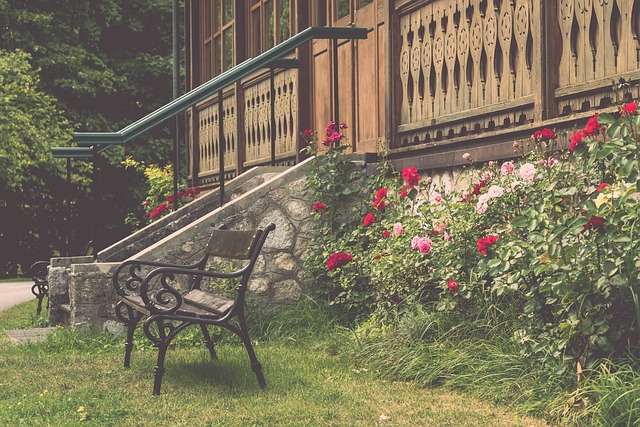 今晚比赛增 今晚比赛增