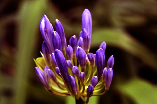 使中国冰壶 使中国冰壶